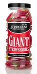 Original Giant Strawberries Strawberry Sweets Retro Jelly Sweets Gift Jar by Berrymans Sweet Shop - Classic Sweets, Traditional Taste.