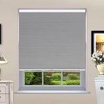 Cellular Shades Cordless Blackout Window Blinds & Shades Custom Size Bottom Up Blinds Single Cell Honeycomb Blinds for Window Privacy Thermal Insulated Room Darkness, Blackout Grey, 23" W x 60" H