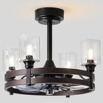 zsvicka Caged Ceiling Fan with Ligh