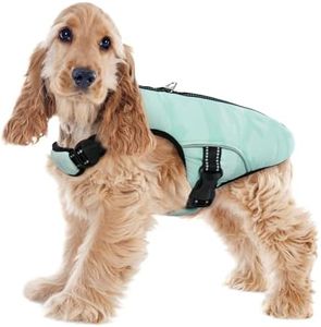 Veste Rafraîchissante pour Chien, Manteau Rafraîchissant Confortable Gilet Réfrigérant d'été avec Bande Réfléchissante pour Petits/Moyens/Grands Chien(Vert, M)