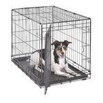 Medium Dog Crate | MidWest iCrate 30" Folding Metal Dog Crate | Divider Panel, Floor Protecting Feet, Plastic Tray | 30L x 19W x 21H Inches, Medium Dog, Black