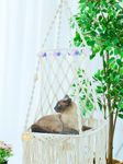 Hanging Cat Hammock Bed,9 Pcs Macrame Cat Swing Bed,Macrame Hanging Cat Bed, with 2 Catnip Mat Bed