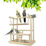 Joyeee Parrot Playstand Wood Play Gym, Include Stainless Steel Parrot Feeders Water Bowls, Bird Swing, Bird Ladder, Tray, Bird Perches for Cockatiels to Exercise Foraging, 15.7" x 10.2" x 17.9" L