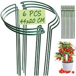 VLYHGO 6PCS 44x20cm Plant Supports for Garden Half Round Ring Plant Support Large Metal Garden Supports for Tomatoes Tulips, Roses, Daisies, Lavender