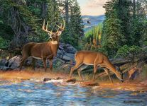 Cobble Hill 1000 Piece Puzzle - The