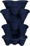 Muddy Hands 6 x Strawberry Planter Trio Stacking Stackable Outdoor Garden Flower Herb Plastic Plant Pot (Blue)