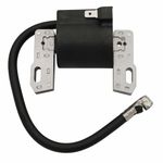 Raogoodcx Replaces Briggs & Stratton Electronic Ignition Coil Magneto Armature Fits 495859 491312 490586 492341