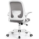 Winrise Office Chair Ergonomic Desk Chairs with Lumbar Support and Flip-up Arms, Comfortable Breathable Mesh Computer Executive Chair with Swivel Task, Adjustable Height 4'', Home, Bedroom - Gray