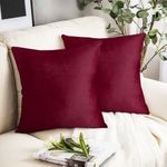 IVAZA Velvet Decorative Cushion Cover 24x24 Inch - Set of 2, Soft Solid Square Throw Pillow Covers for Sofa, Living Room or Home Decor - 60x60cm Wine