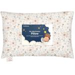 Toddler Pillow with Pillowcase - My Little Dreamy Pillow - Organic Cotton Toddler Pillows for Sleeping, Kids Pillow, Travel Pillows for Sleeping, Mini Pillow, Toddler Bed Pillows (Flora Vale)