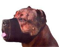 Dogs My Love Fit Dog Muzzles