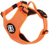 BullyBillows Active Light Dog Harness With Handle | Premium Dog Harness | Padded Lining & Highly Reflective Dog Harness Suitable For All Dog Breeds | Orange Medium