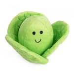 Petface Foodie Faces Fluffy Sprout Dog Toy