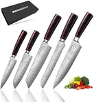 SANDEWILY 5PCS Chef Knife Set - Ultra Sharp Japanese Knives with High Carbon Stainless Steel Blades and Ergonomic Pakkawood Handle in an Elegant Gift Box