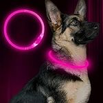 BSeen LED Dog Collar, USB Rechargea