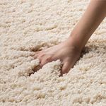 ZARA CARPETS; 'can change the floor Solid Extra Soft Shaggy Rectangular Carpets (Usa) Exported With 2.5 Inch Thickness Carpets For Living Room 4 Feet By 6 Feet (120X180 Cm, Ivory)