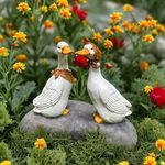 Generic Products Thedecorshed Blue/Pink Muffler Duck for Garden Decor, Garden Decor Items, Duck Idol for Garden, Swans for Garden, White Duck for Garden, Swan for Gardens, Garden Animals