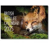 2025 A4 British Wildlife Calendar. One Month to View. A3 when open. Wall Calendar by Absolutely Yours.