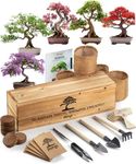 Bonsai Tree Kit – 5+1 Unique Bonzai