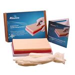Aliwovo Venipuncture Practice Kit Phlebotomy Iv Insertion, Blood Draw, Injection, Venipuncture Techniques For Students To Practice Perfect Iv ¼Medical Educational Training Teaching Model