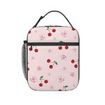 KUOAICY Cherry Lunch Box Reusable Insulated Totes Lunch Bag Thermal Cooler For Boy Girls School Men Women Beach Picnic Travel