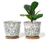 G EPGardening 6 Inch Ceramic Plant Pot with Drainage Hole and Saucer for Plants Indoor Round Succulent Orchid Flower Planter Pot Set of 2 Beige