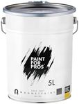 Paint For 