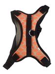 Dog Trust Pet Supplies K9 Harness for Large Dogs | Adjustable Straps Vest | Safety for Dogs (Color - Orange)