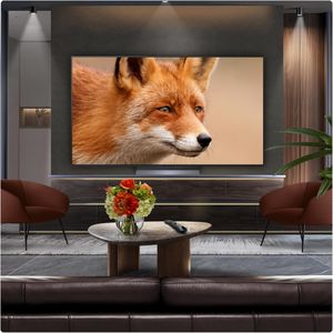 LG 65" OLED 4K TV – Ultra HD Smart OLED65C55LA