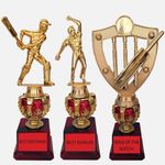 Bareeze Pure Gold Cricket Tourname Tournament Set of 3, Best Batsman Trophy, Best Bowler Trophy and Man of The Match