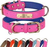 Didog Leather Dog Collar Personalized for Small Medium Large Dogs, Soft Padded Leather Dog Collar Heavy Duty with Engraved Name Plate, Hot Pink, S