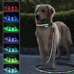 LED Dog Le