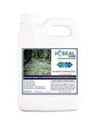 Pool Deck Sealer