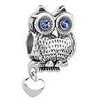 LSxAB Heart Love Wisdom Blue Eyes Owl Charm Compatible with Pandora Charms Bracelets