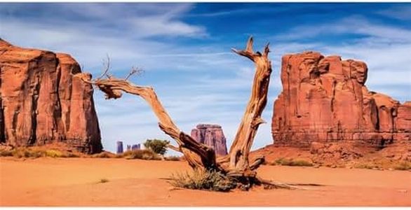 AWERT 36x18 inches Reptile Habitat Background Sky Oasis Mountain Cactus Sun and Desert Terrarium Background Polyester Background