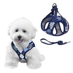 PawSailor Plaid Small Dog Harness and Lead Set, Step-in No Pull No Choke Step in Soft Mesh Breathable Dog Vest Harness Escape Proof Reflective for Small Puppy Dogs, Cats Blue XS