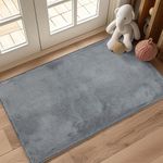 JINCHAN Solid Plush Area Rug 2x3 Performance Shaggy Rug Washable Area Rug Indoor Entryway Doormat Soft Rug Modern Faux Wool Rug Cozy Non Slip Carpet for Living Room Kids Room Bedroom Nursery Grey