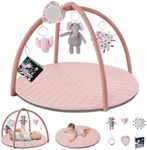 Blissful Diary Baby Play Gym Mat, T