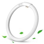 Aigostar T9 32W Circular Fluorescent Light Tubes, Energy Saving Fluorescent Tube Lights 6500K Cool White G10q 2100LM