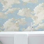 York Wallcoverings Clouds on Canvas