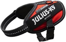 Julius-K9, 16IDC-R-B2, IDC Powerhar