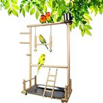 Joyeee Bird Life Activity Center, Pet Stand Platform Parrot Toys for Small Birds, Bird Perch Toy with Ladder, Wood Swing, Hanging Bell, Feeder Seed Cup & Tray, Gym Climbing Toys Cockatiel Playground