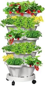 5 Tier Sta