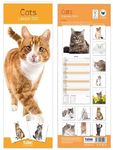 2025 Super Slim Month to View Spiral Bound Hanging Wall Calendar Home Office (Cats)