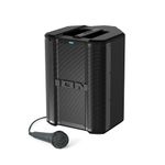 ION Audio Trouper 100 - Battery Powered Portable Bluetooth Speaker with Rechargeable Battery, Multi-Channel Mixer and FM Radio, 100W