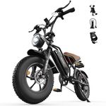 VARUN Electric Bike, 16" x 4.0 Fat Tire E-Bike with 48V 624Wh Battery, Max 100KM Range, LCD Display with 5 PAS, Full Suspension & Indicators, All-terrain Electric Dirt Bike for Adults and Teens