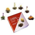 Creano Blooming Tea Sampler in A Classy Gift Box to Try - Black & White Tea - Gift for Women, Mom, Tea Lovers - 6 Pieces (Pack of 1)