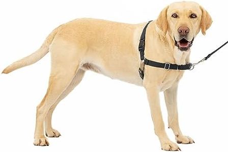 PetSafe Easy Walk No-Pull Dog Harness - The Ultimate Harness to Help Stop Pulling - Take Control & Teach Better Leash Manners - Helps Prevent Pets Pulling on Walks, Large, Black/Silver