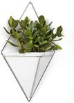 Umbra Trigg Hanging Planter Vase & Geometric Wall Decor Container-for Succulent, Air, Mini Cactus, Faux Plants and More, Large, White/Nickel Decor