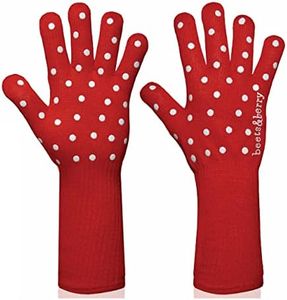Oven Glove